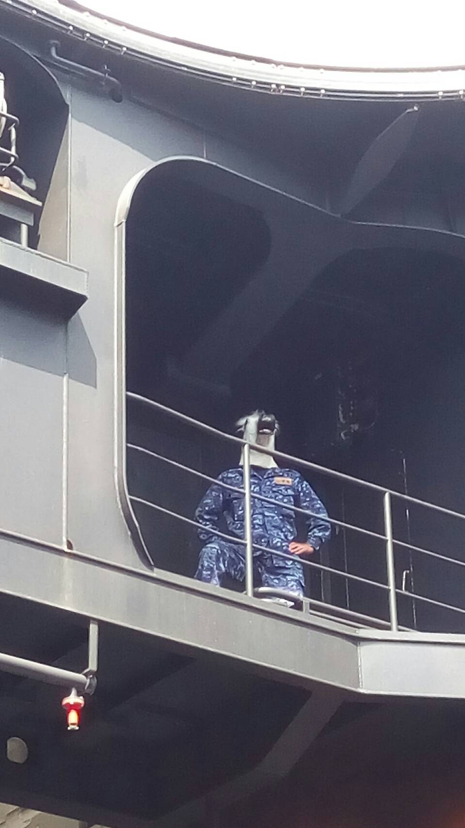 あ、馬の妖精さんww